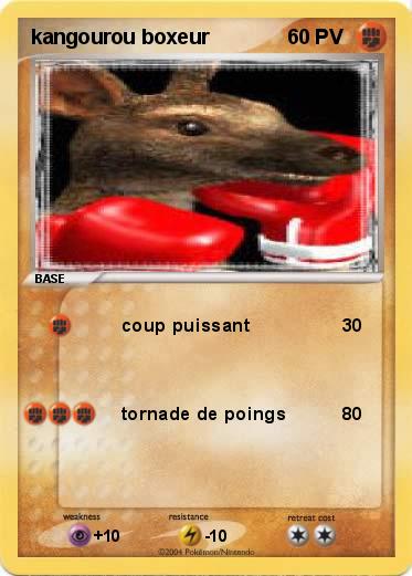 Pokemon kangourou boxeur