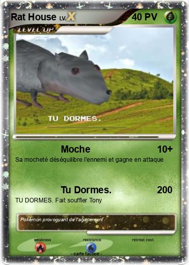 Pokemon Rat House