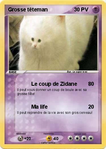 Pokemon Grosse têteman