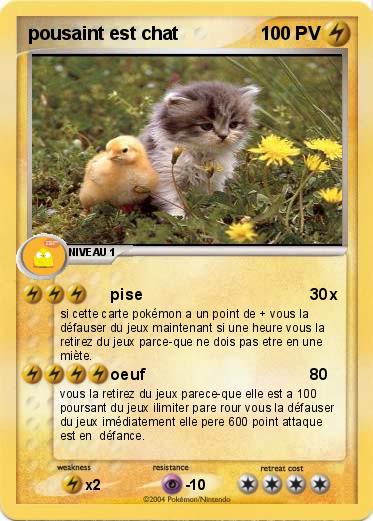 Pokemon pousaint est chat