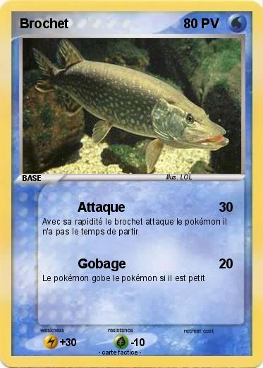 Pokemon Brochet