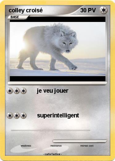 Pokemon colley croisé