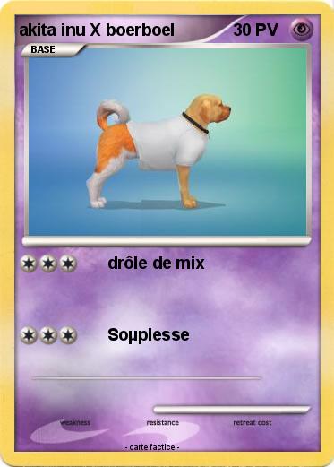 Pokemon akita inu X boerboel