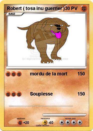 Pokemon Robert ( tosa inu guerrier )