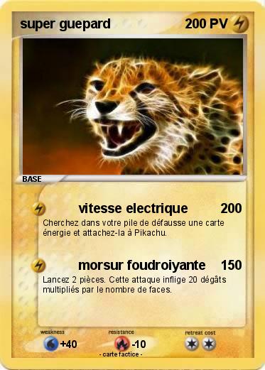 Pokemon super guepard