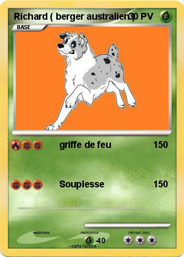 Pokemon Richard ( berger australien )