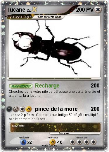 Pokemon lucane