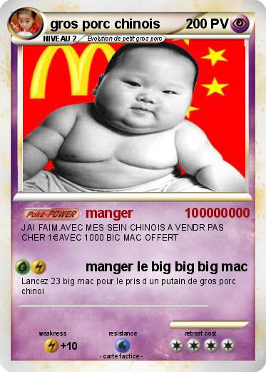 Pokemon gros porc chinois