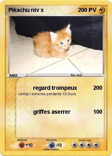 Pokemon Pikachu niv x