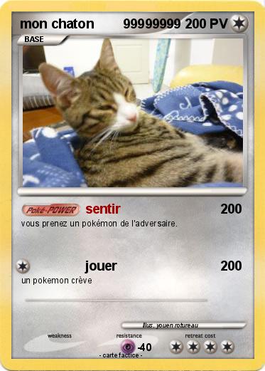 Pokemon mon chaton        99999999