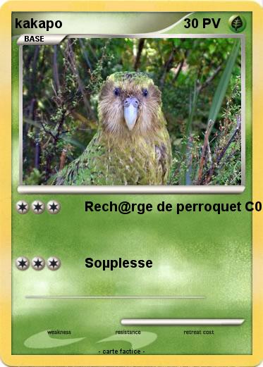 Pokemon kakapo