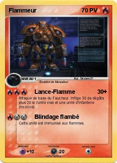 Pokemon Flammeur