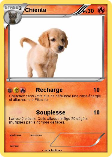 Pokemon Chienta