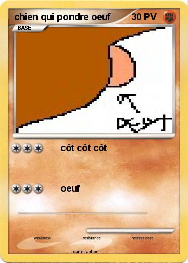 Pokemon chien qui pondre oeuf