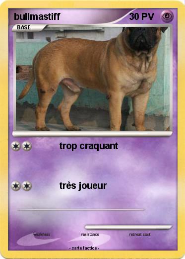 Pokemon bullmastiff