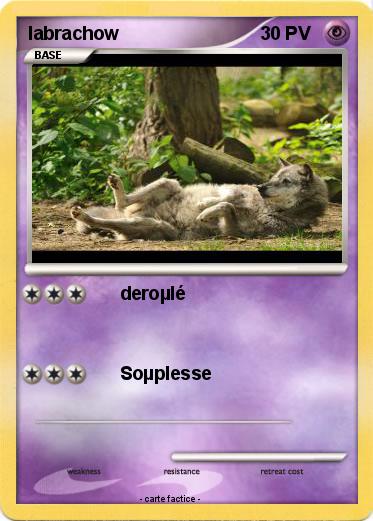 Pokemon labrachow