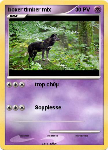 Pokemon boxer timber mix