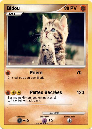 Pokemon Bidou
