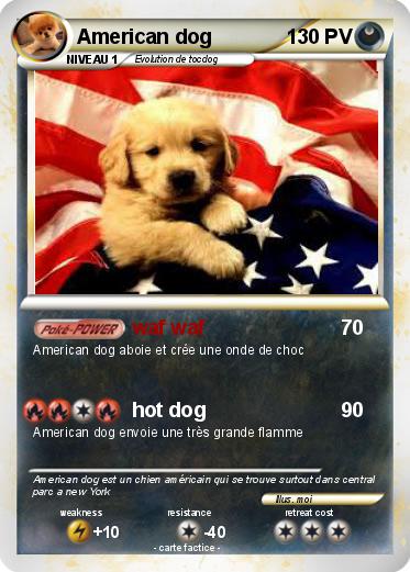 Pokemon American dog
