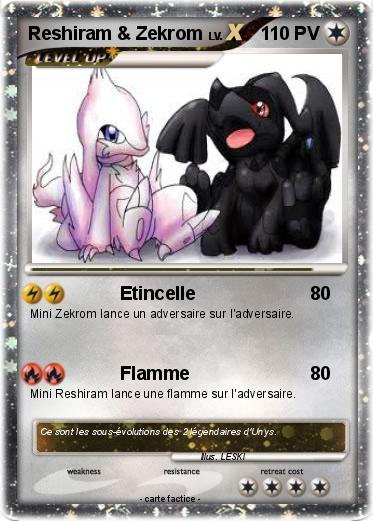 Pokemon Reshiram & Zekrom