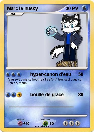 Pokemon Marc le husky