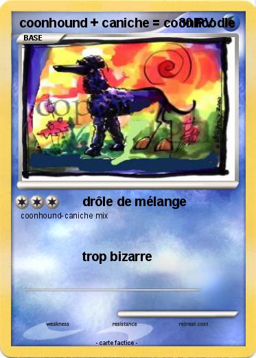 Pokemon coonhound + caniche = coonhoodle