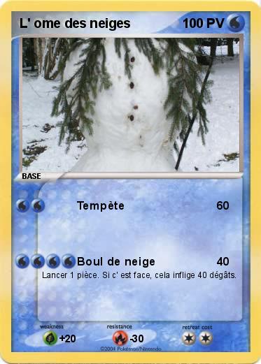 Pokemon L' ome des neiges