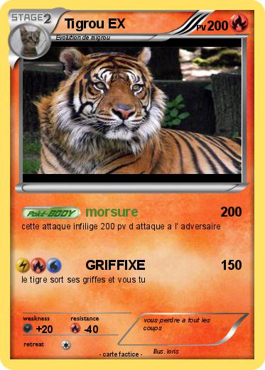 Pokemon Tigrou EX