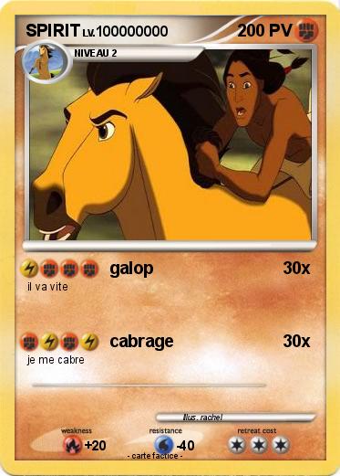 Pokemon SPIRIT