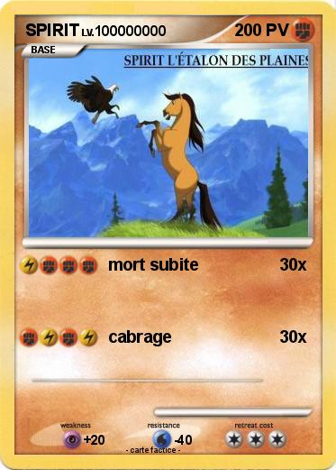 Pokemon SPIRIT