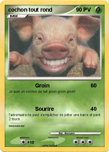 Pokemon cochon tout rond