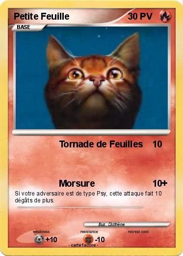 Pokemon Petite Feuille