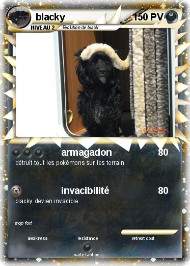Pokemon blacky