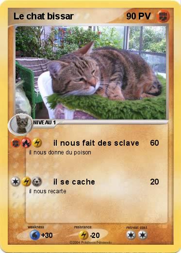 Pokemon Le chat bissar