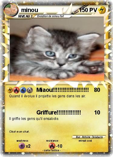 Pokemon minou