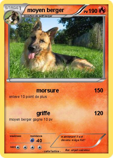 Pokemon moyen berger