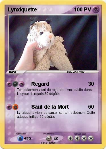 Pokemon Lynxiquette