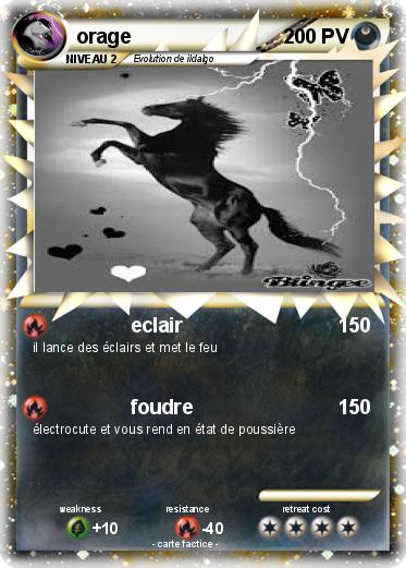 Pokemon orage