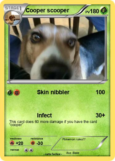 Pokemon Cooper scooper