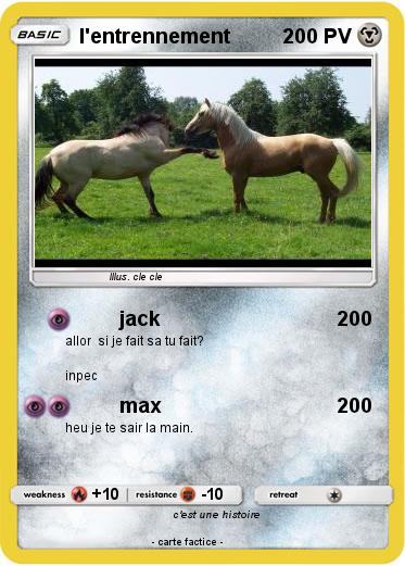 Pokemon l'entrennement