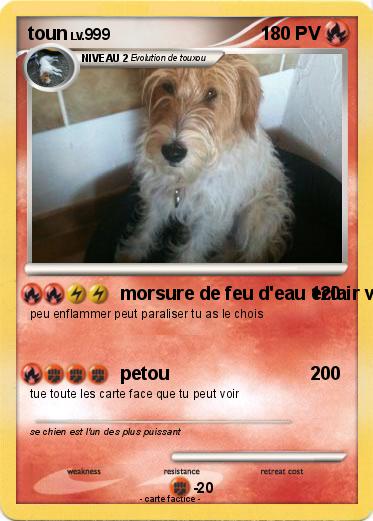 Pokemon toun