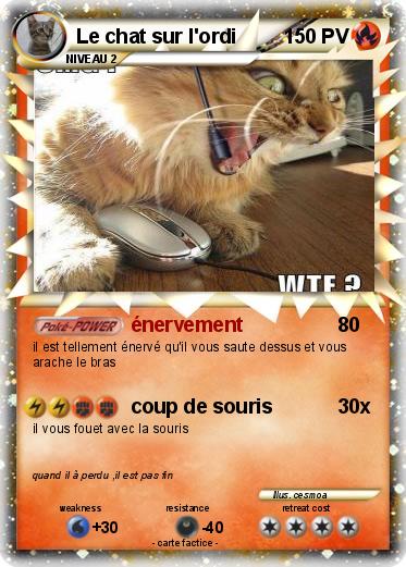 Pokemon Le chat sur l'ordi