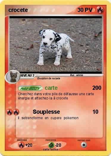 Pokemon crocete