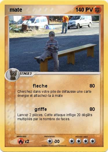 Pokemon  mate