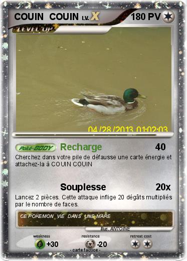 Pokemon COUIN  COUIN