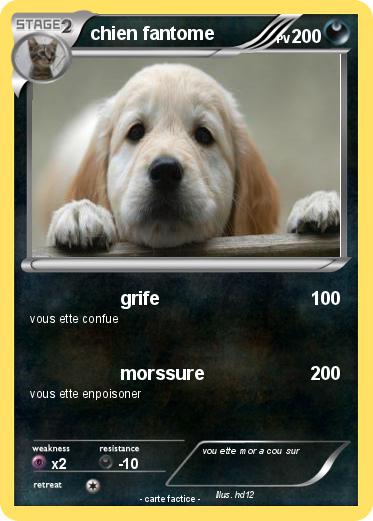 Pokemon chien fantome