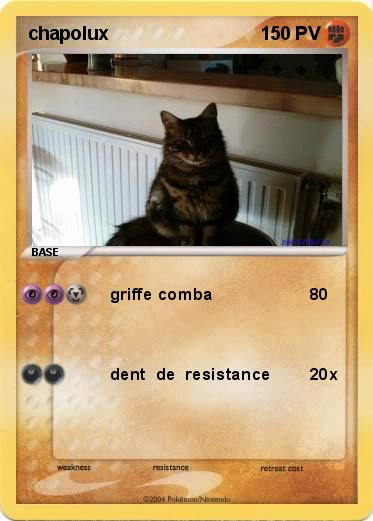 Pokemon chapolux