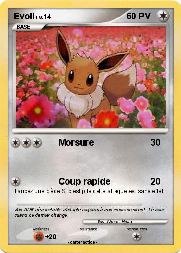 Pokemon Evoli