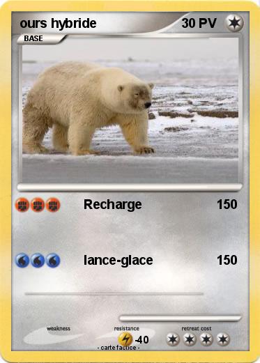 Pokemon ours hybride