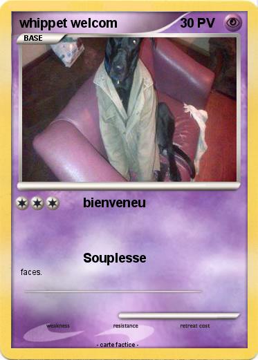 Pokemon whippet welcom